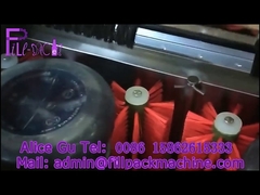 Mesin pencuci laras dekapping semi-otomatis dengan dudukan pencucian ganda